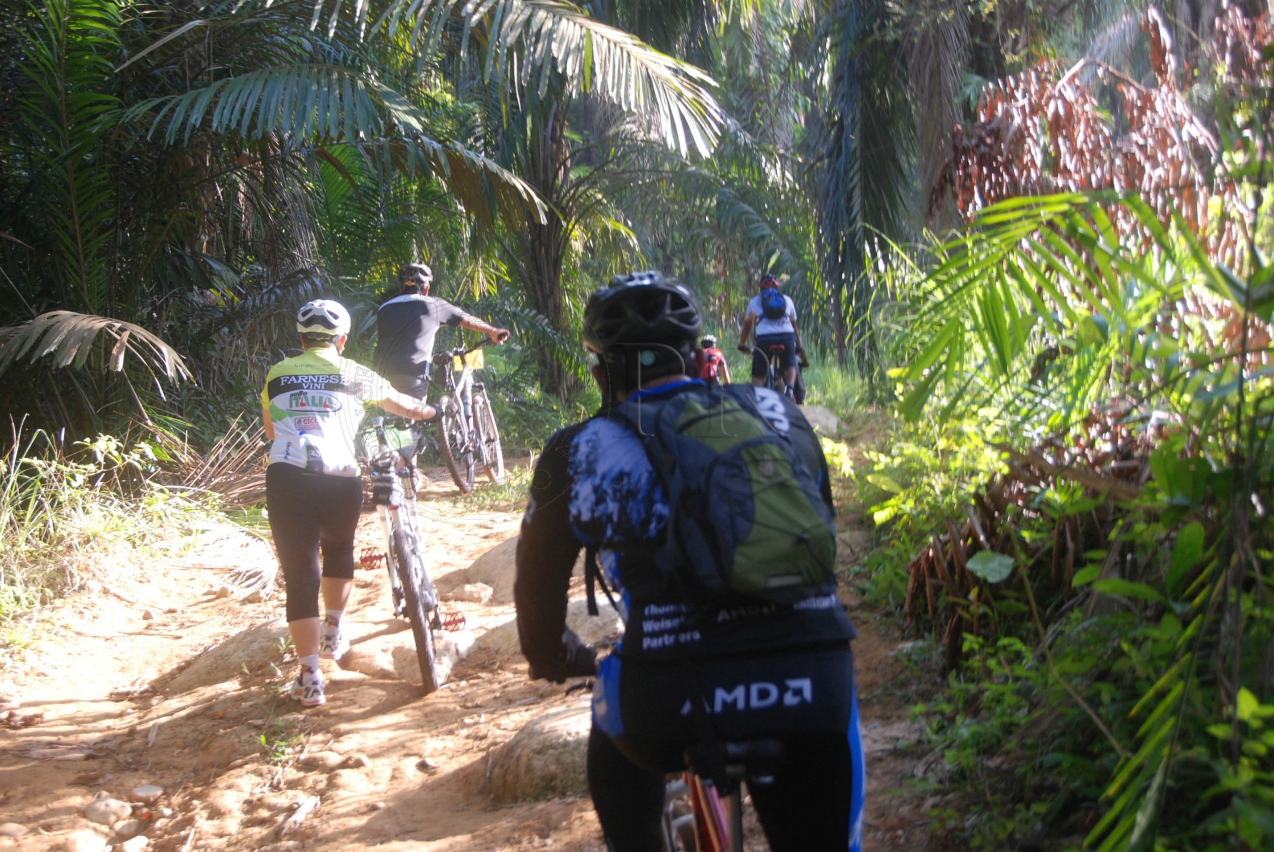 BPKK 12 145 jamboree DSC 1137